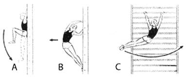 Комплекс упражнений на гимнастической стенке
