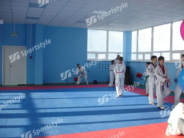 Татами для единоборств_толщина