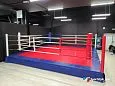 Ринг боксерский 6х6м на подиуме 50 см RP0,5/2