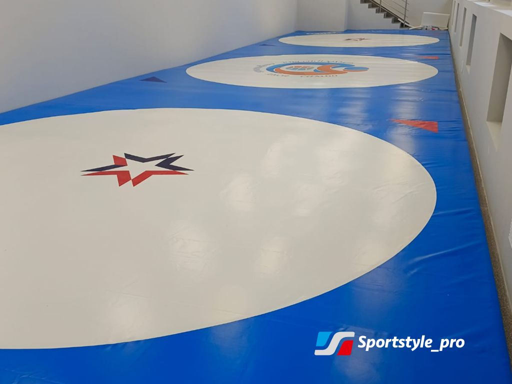 Покрытие борцовское Borba-4 для ковра 10*10м двухцветное