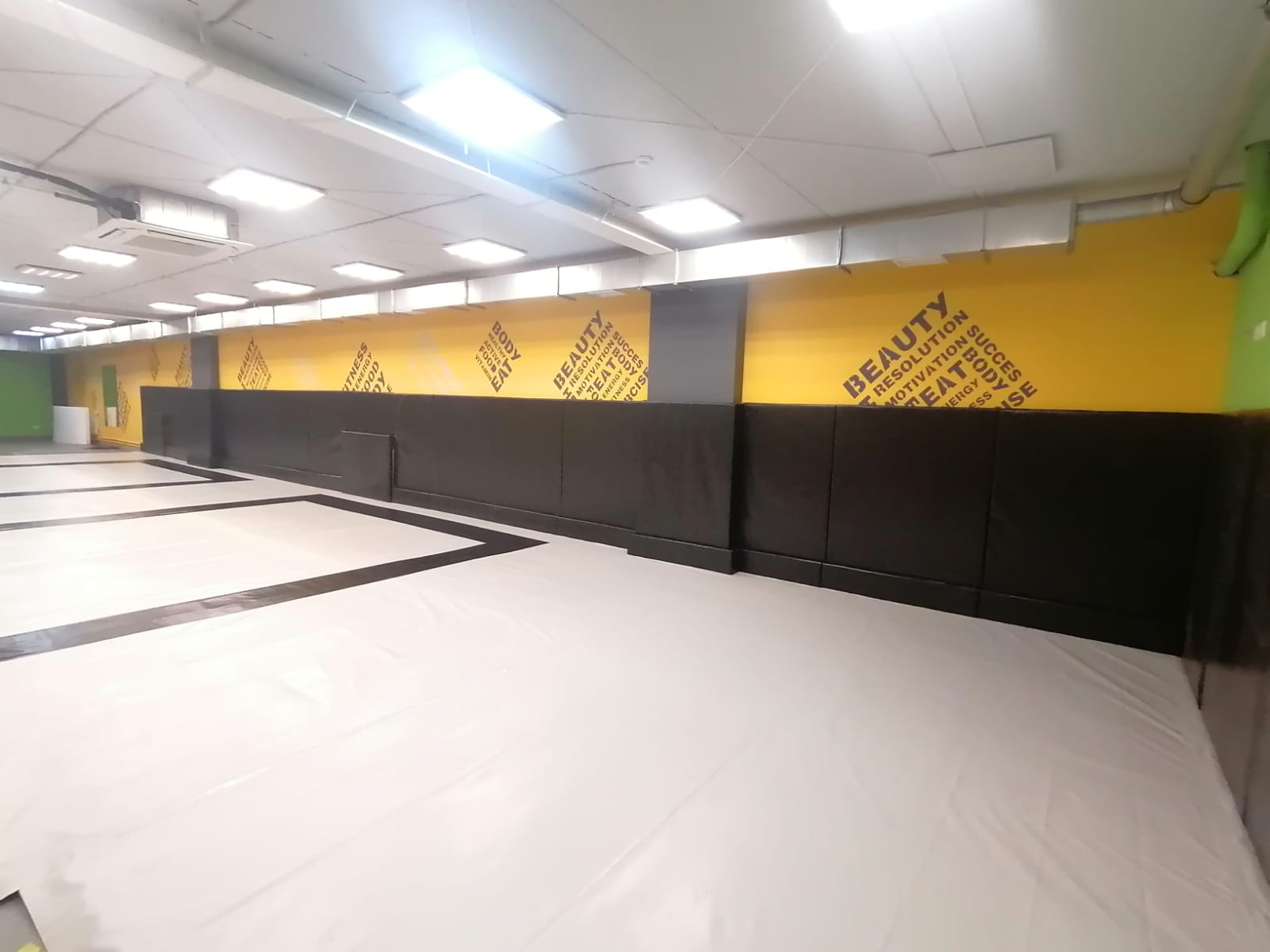 Стеновой протектор SpSt2