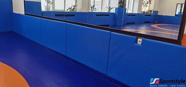 Протектор защитный DVS4 от SportStyle Протектор защитный DVS4 от SportStyle