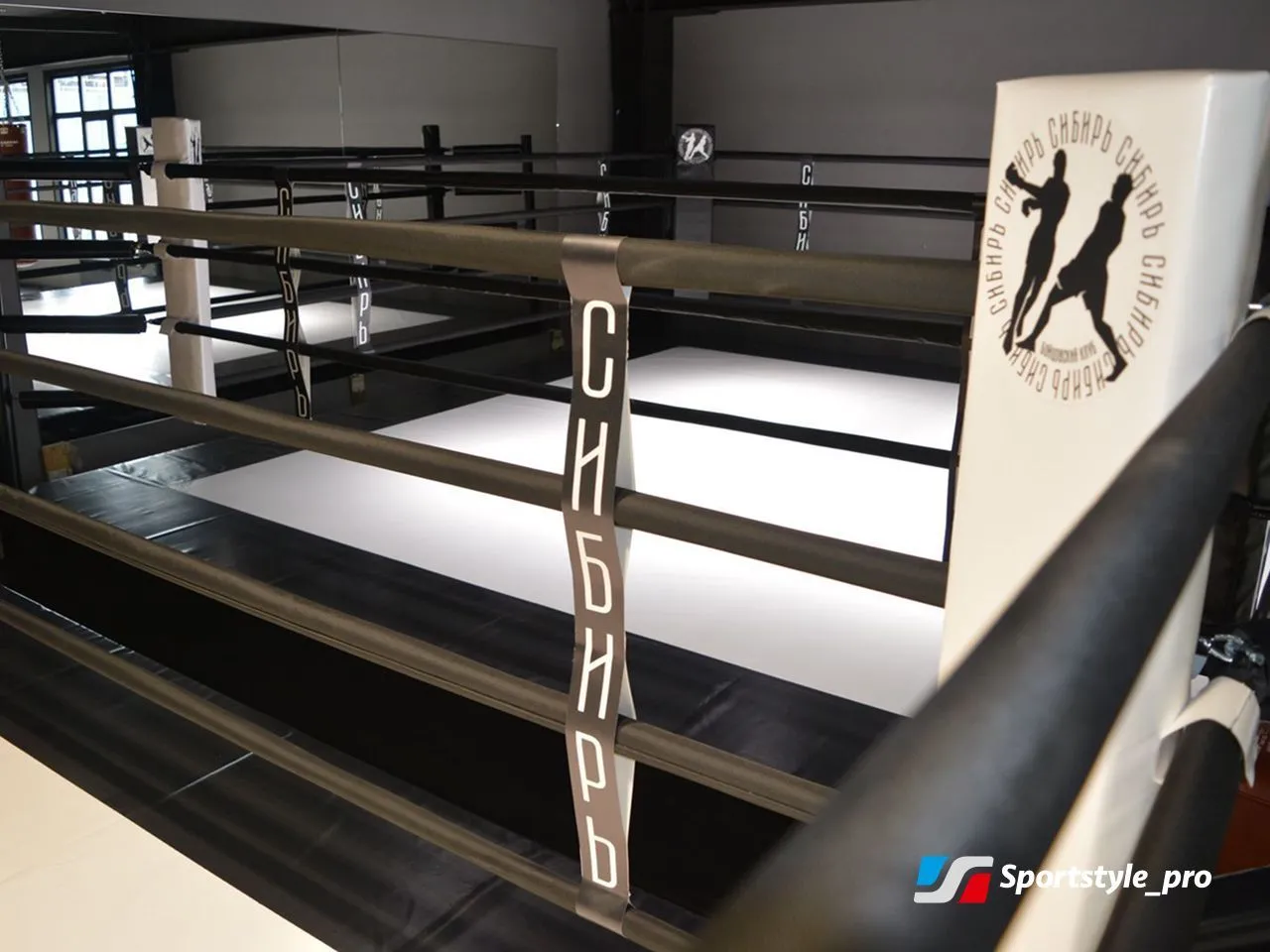 Ринг боксерский 5х5м купить, напольный на упорах РНУ1