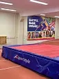 Прыжковая яма 6*4*0,7м Professional Plus без шеста
