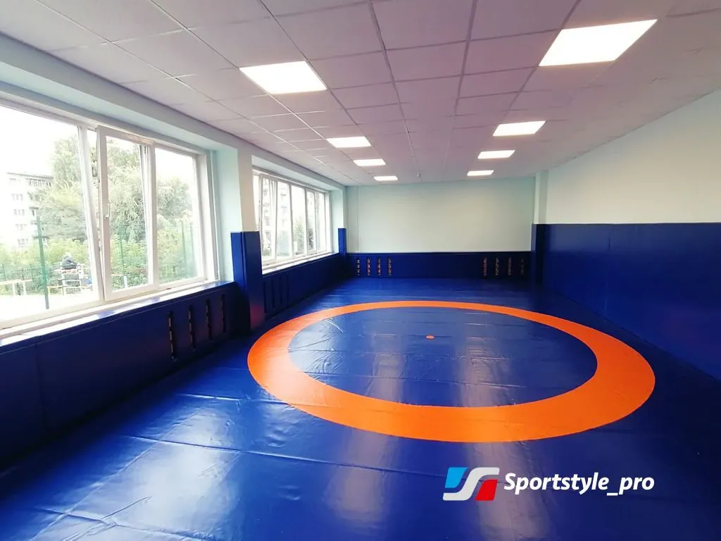 Покрытие борцовское Borba-1 для ковра 8*8м двухцветное