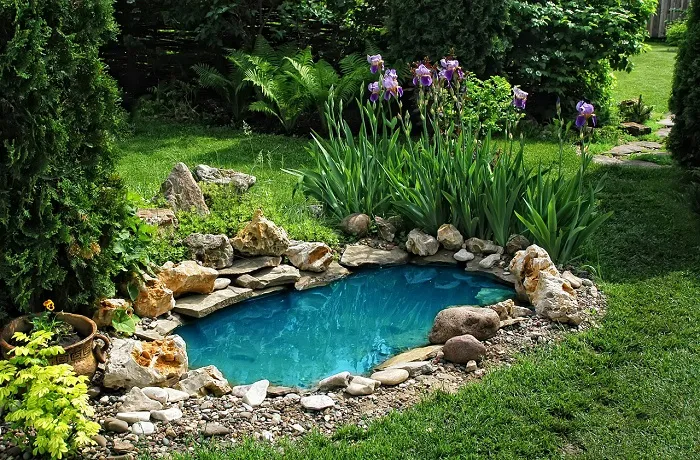 Декоративные искусственные водоёмы и пруды для дачи и сада