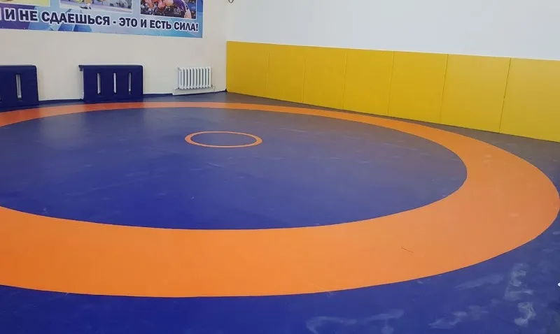 Борцовский мат