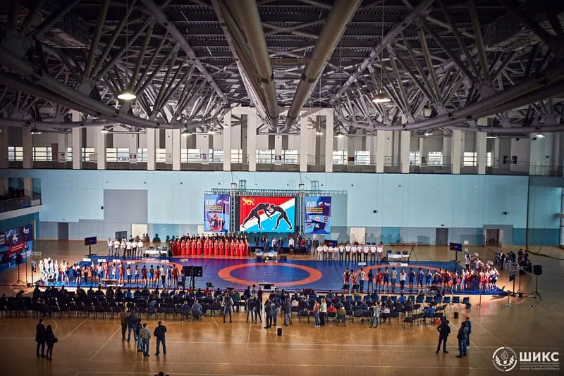 Популярные виды единоборств в России